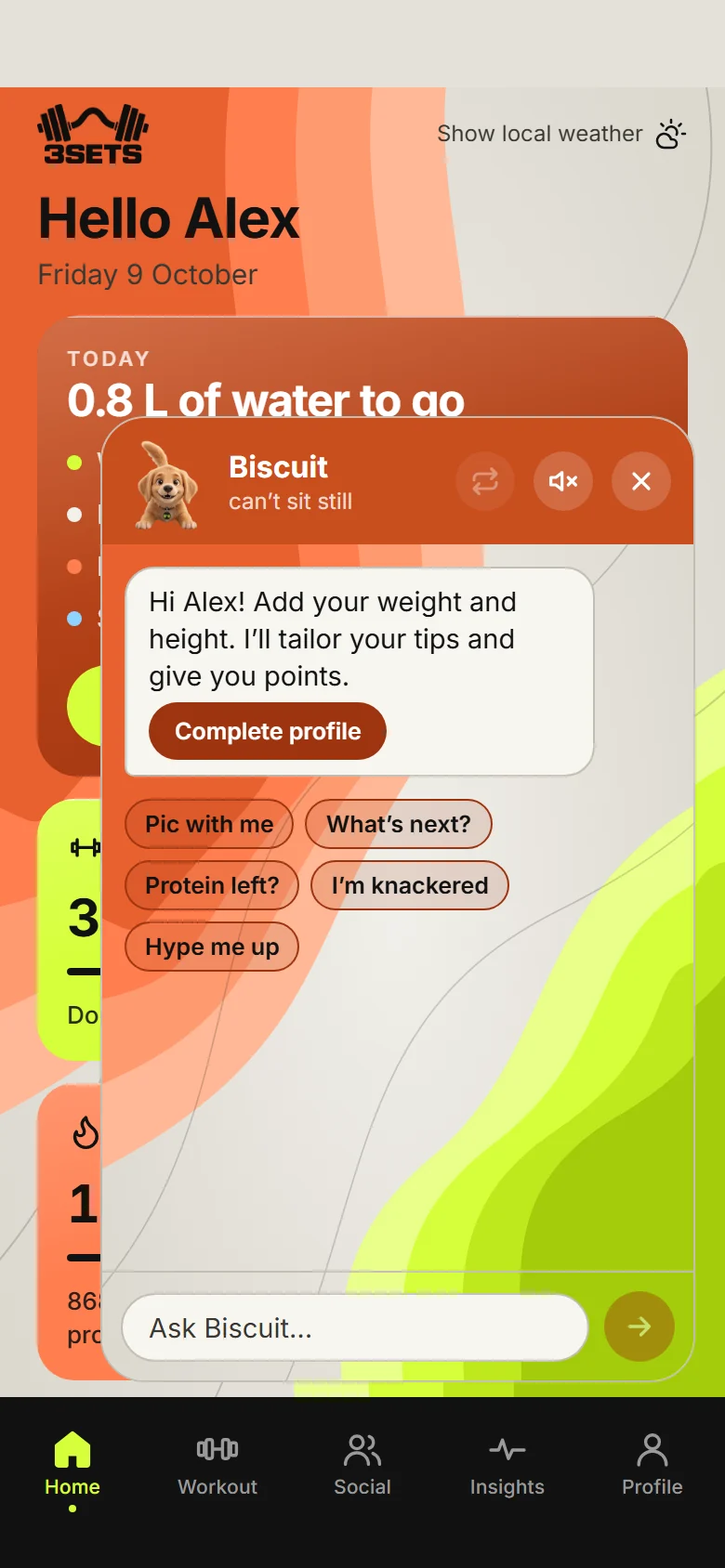 A chat with Biscuit about whether to train today